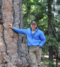 Photo of man standing with one arm on conifer tree